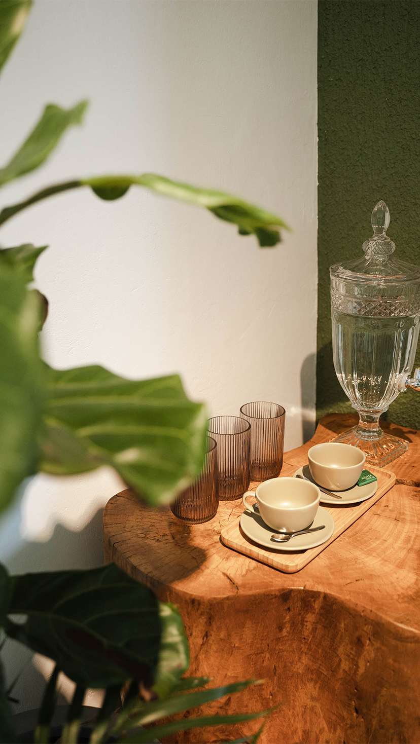 mariana-souza-sobrancelhas